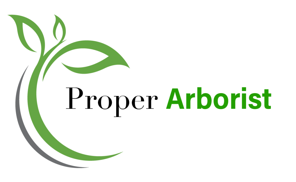 What Does A Certified Arborist Do? Proper Arborist